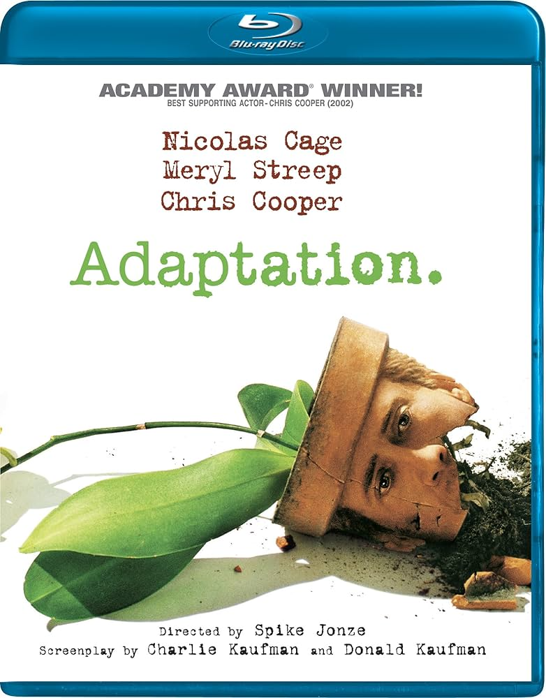 Adaptation