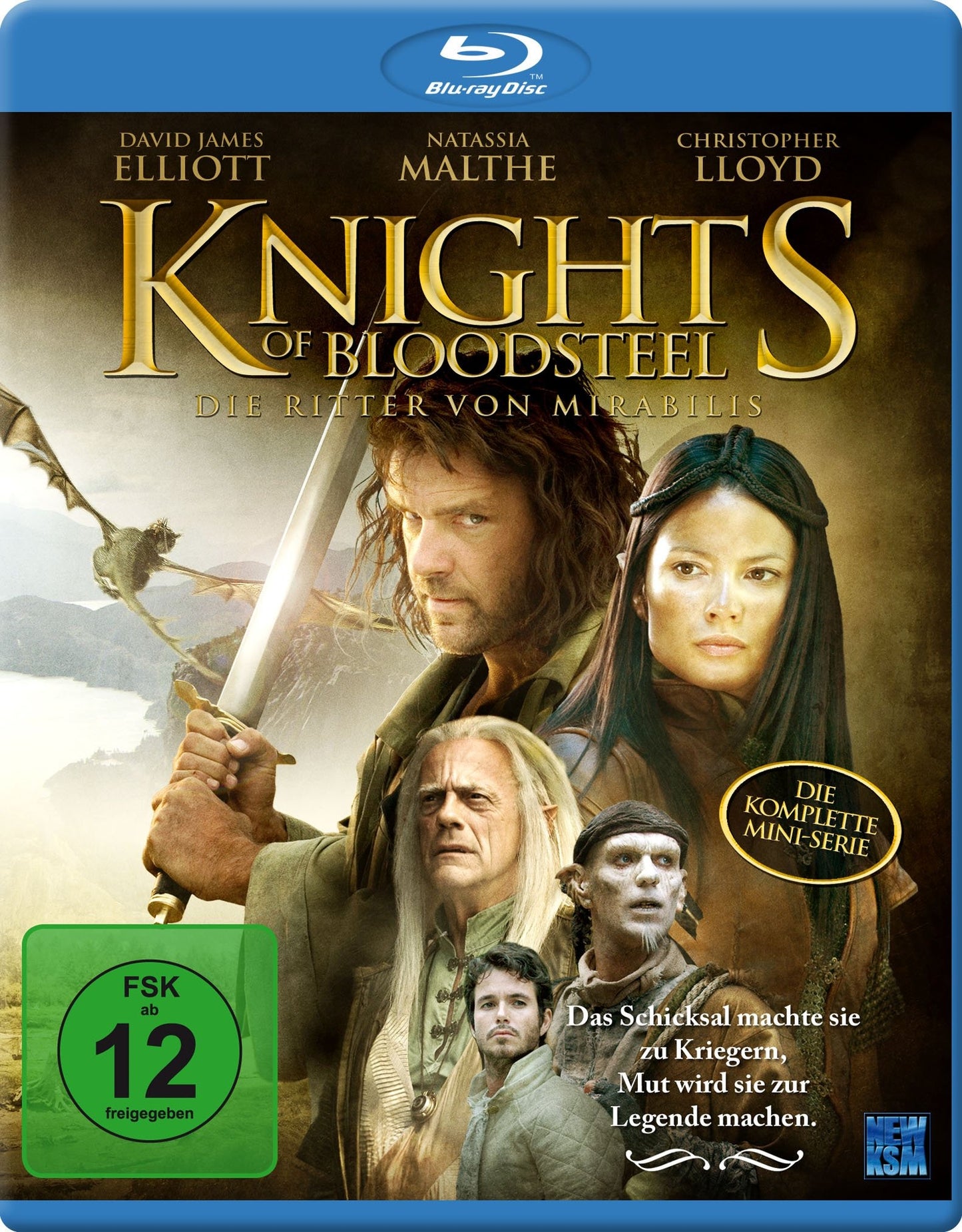 Knights Of Bloodsteel