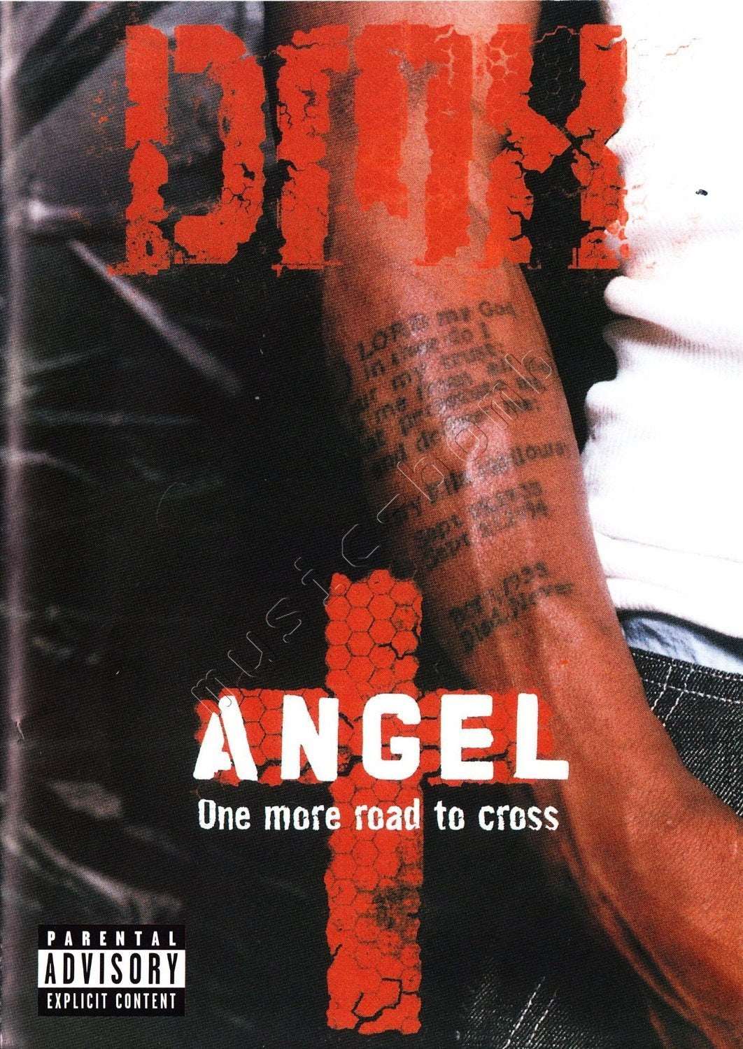 Angel Dmx