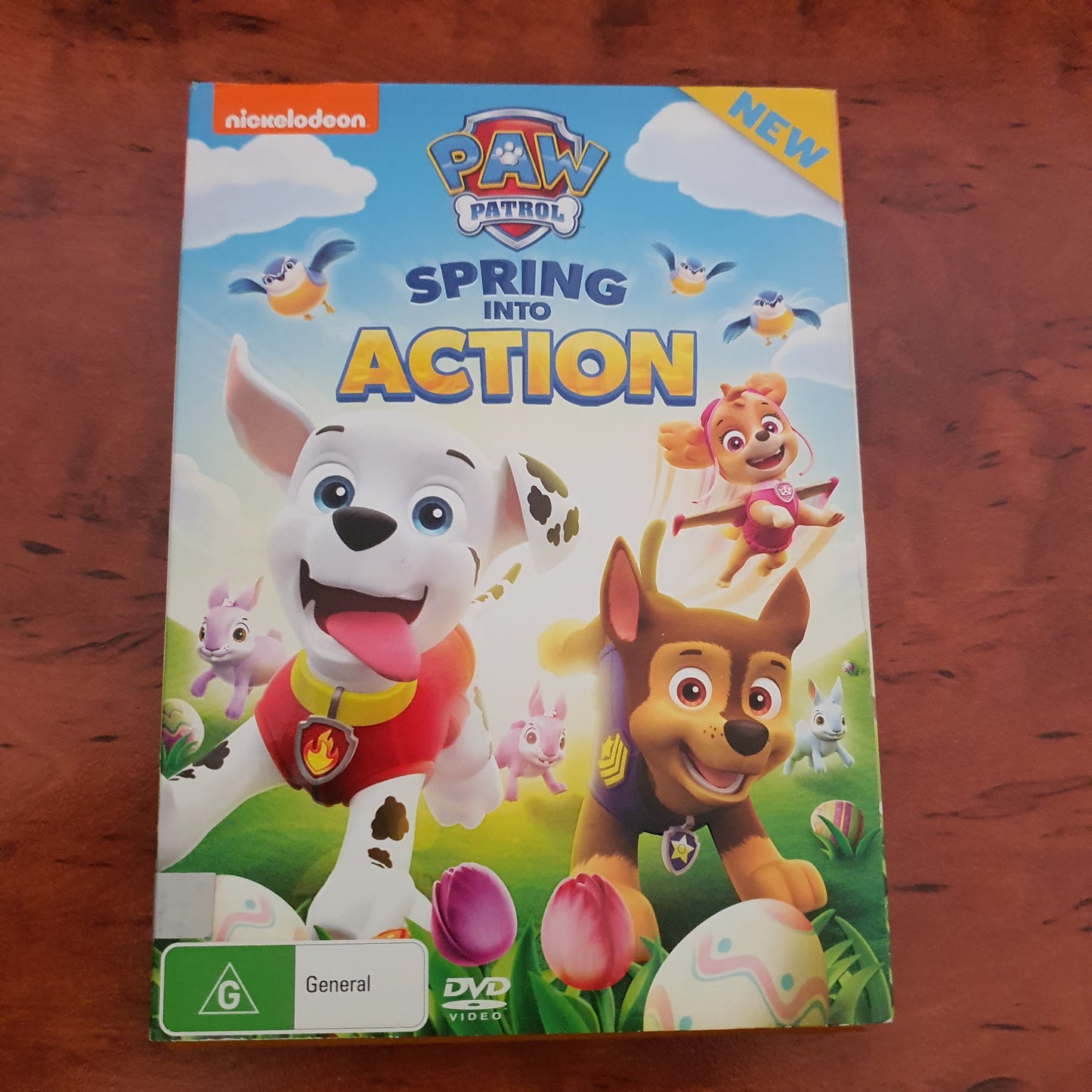 PAW PATROL SPRING INTO ACTION