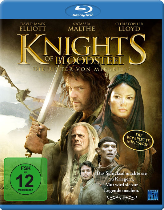Knights Of Bloodsteel