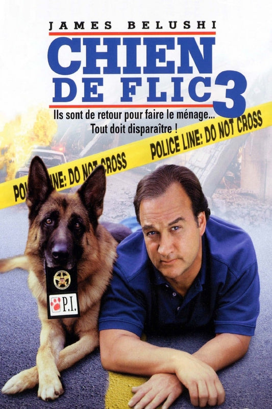 K9 P.I