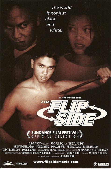 The Flipside