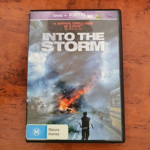 INTO THE STORM